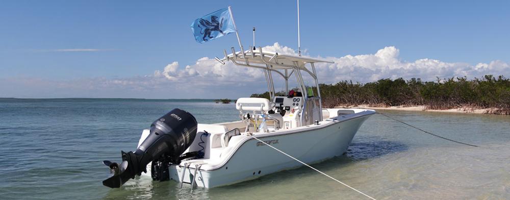 Decorate Boat