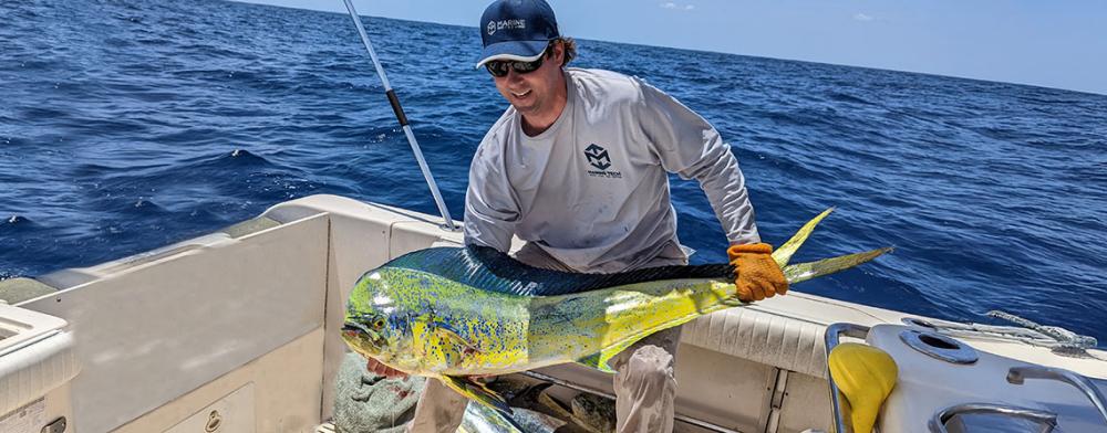 Catch Mahi Mahi