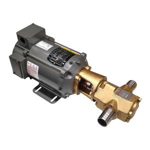 Portable Oil Transfer Gear Pump 12gpm 12VDC